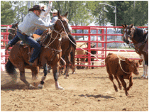 rodeo1