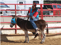 rodeo3